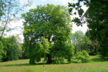 wetter_wbg003068.jpg